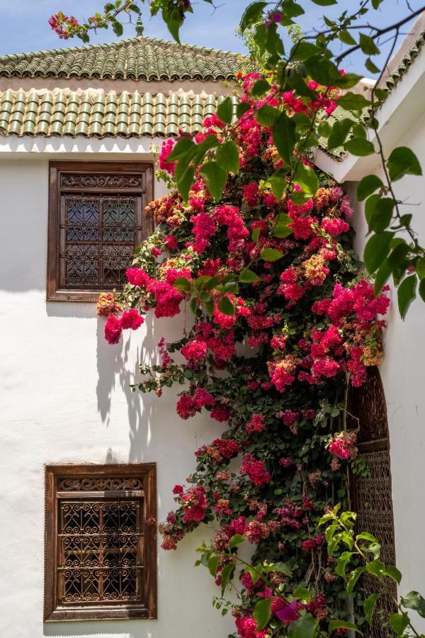 Riad Alma Μαρακές Εξωτερικό φωτογραφία