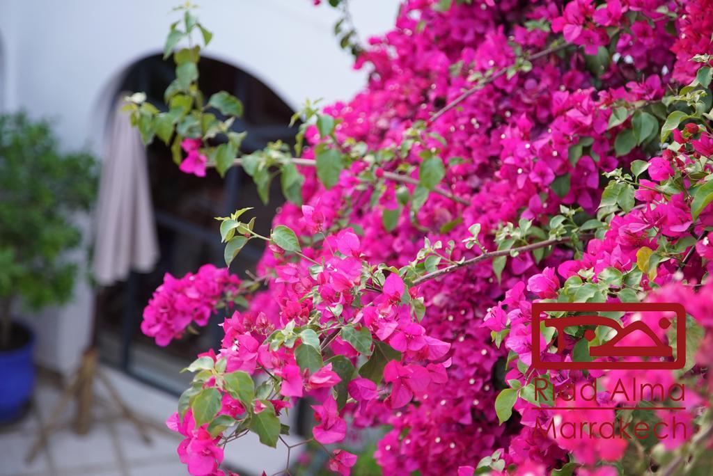 Riad Alma Μαρακές Εξωτερικό φωτογραφία